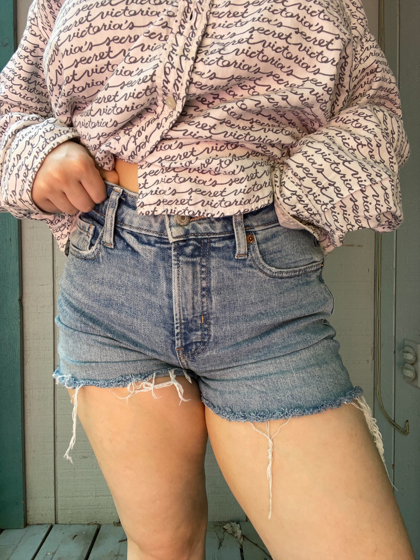 High Rise Denim Shorts