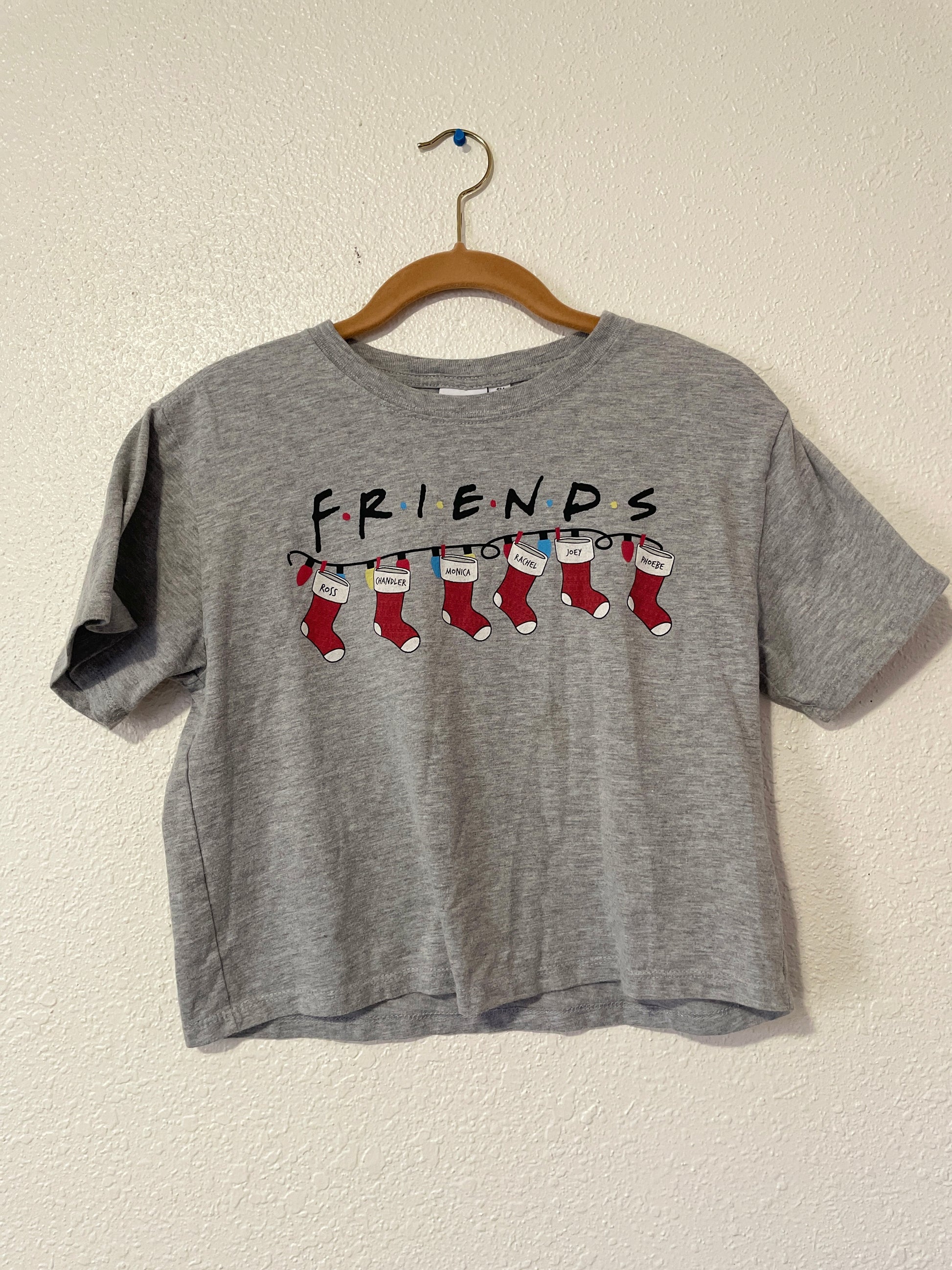 Friends Stocking Cropped Tee | From the Rack | Grace Thrifts