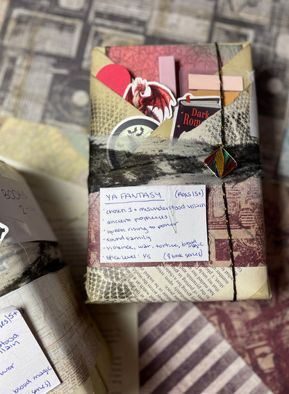 YA Fantasy #2 - Blind Date with a Book Series