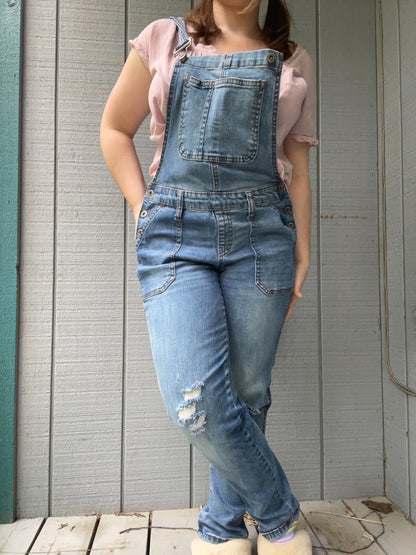 Distressed Skinny Overalls