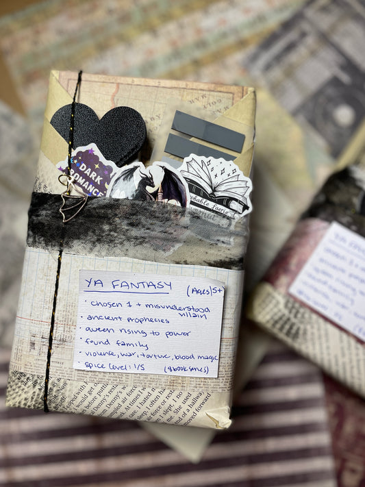 YA Fantasy #2 - Blind Date with a Book Series