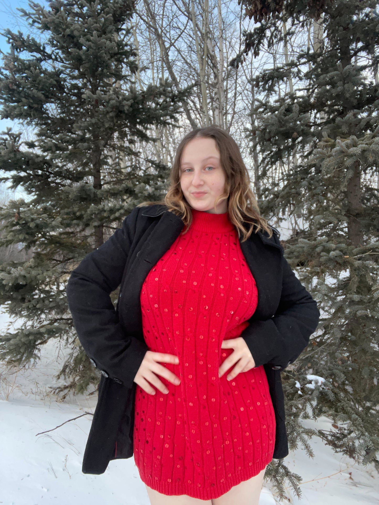 Red Cable Knit Sequin Dress