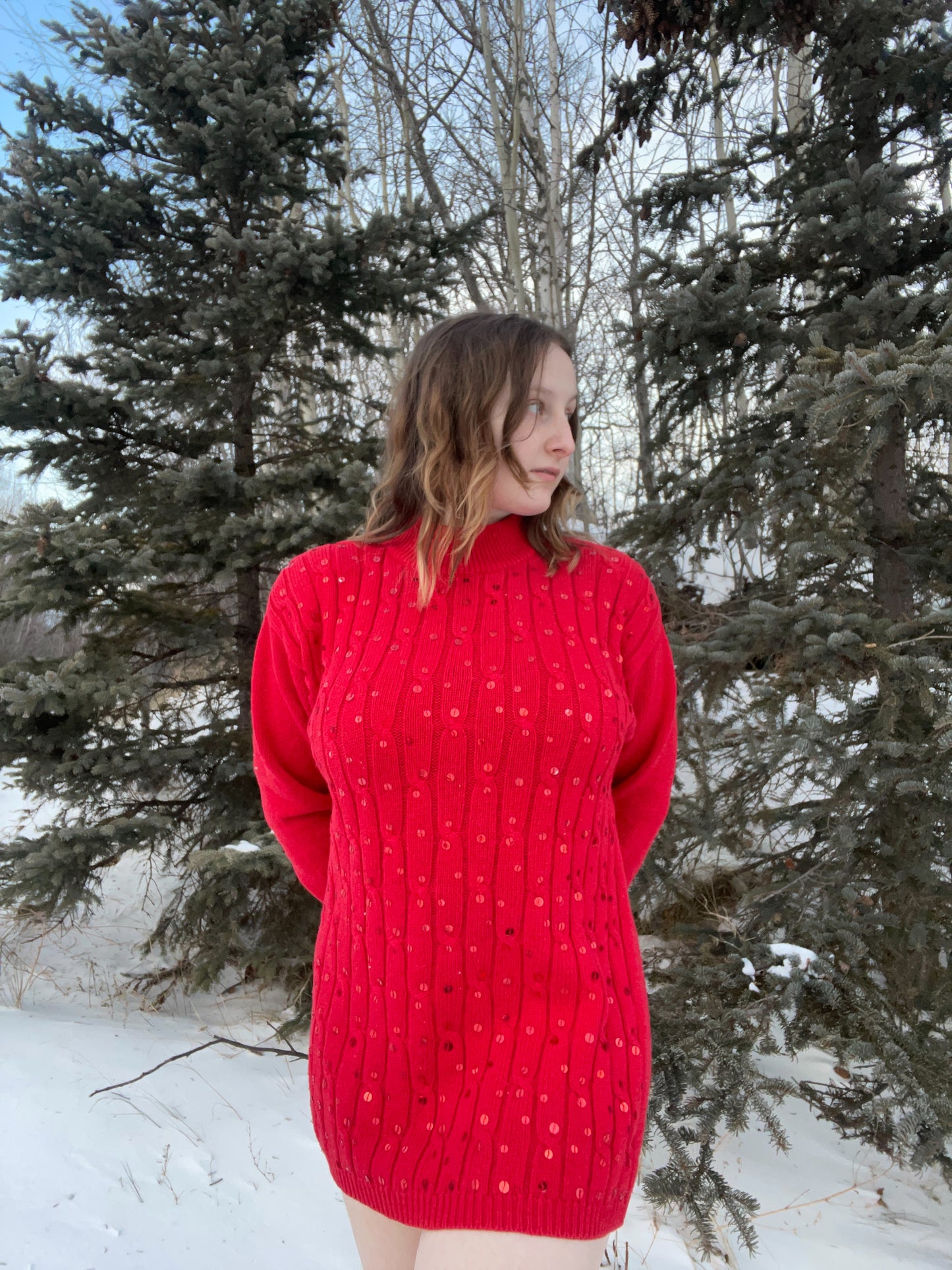 Red Cable Knit Sequin Dress