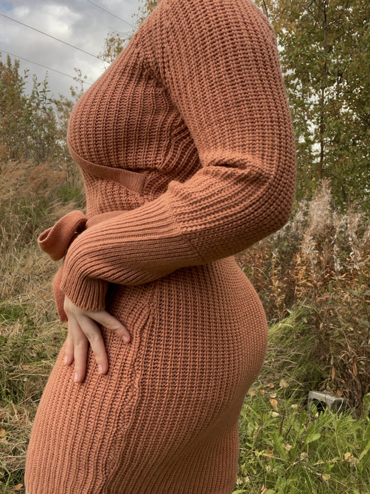 Pumpkin Pie Knit Mini Dress | Curated Secondhand Styles | From the Rack | Grace thrifts | Wasilla, AK